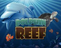 Dolphin Reef
