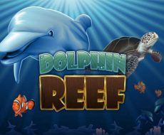 Dolphin Reef Dolphin Reef