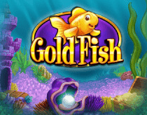 Gold Fish Gold Fish