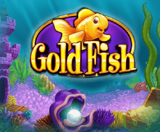 Gold Fish