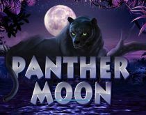 Panther Moon