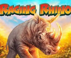 Raging Rhino Raging Rhino