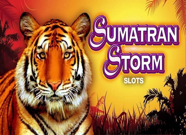 Play Sumatran Storm Free Slot Game