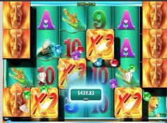 raging rhino big win