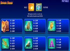 Raging Rhino Slot Paytable